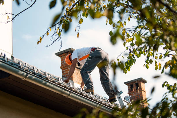Professional Roofing Contractor in Clinton, IL