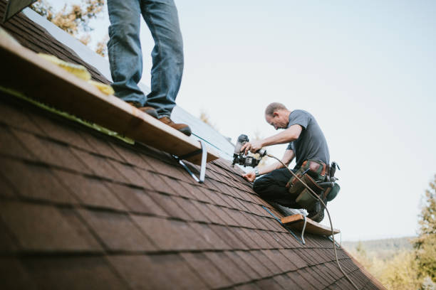 Best Roof Waterproofing Services  in Clinton, IL