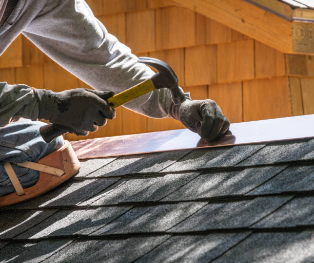 Best Roof Gutter Cleaning  in Clinton, IL